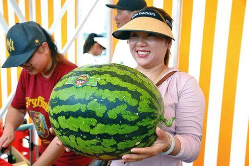 吃瓜娱乐会
